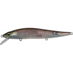 VISION 110 FW Lure