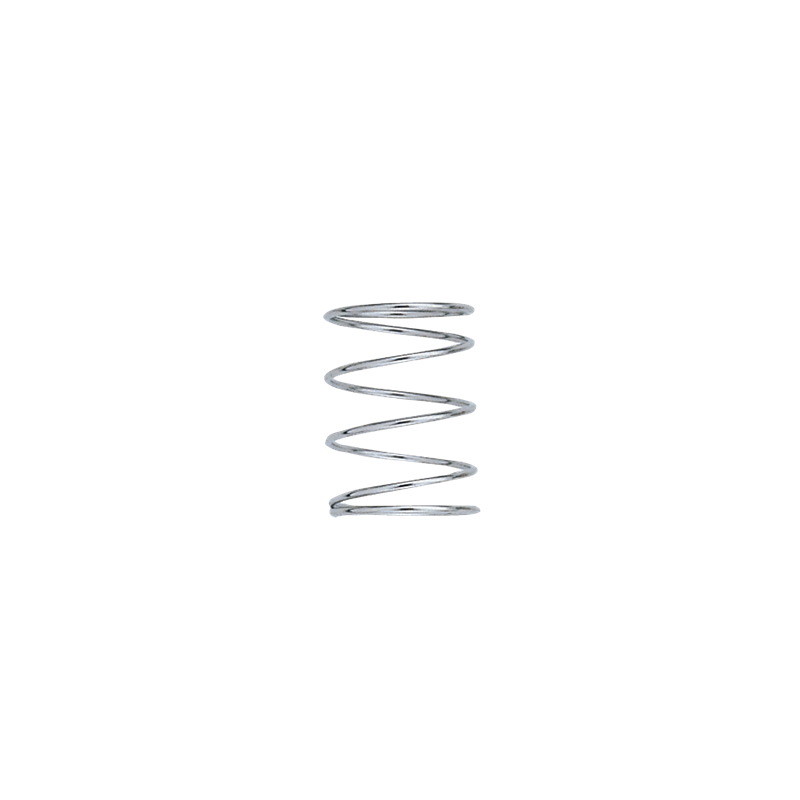 Stainless steel springs 19/22/35 mm (x2) | Picksea
