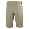 QD Cargo Shorts 11 HH | Picksea