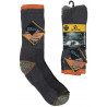 Arctic socks | Picksea