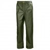 Coated Pants Gale | Picksea