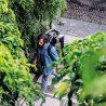 Sac étanche à Roulettes Duffle RS Tizip | Picksea