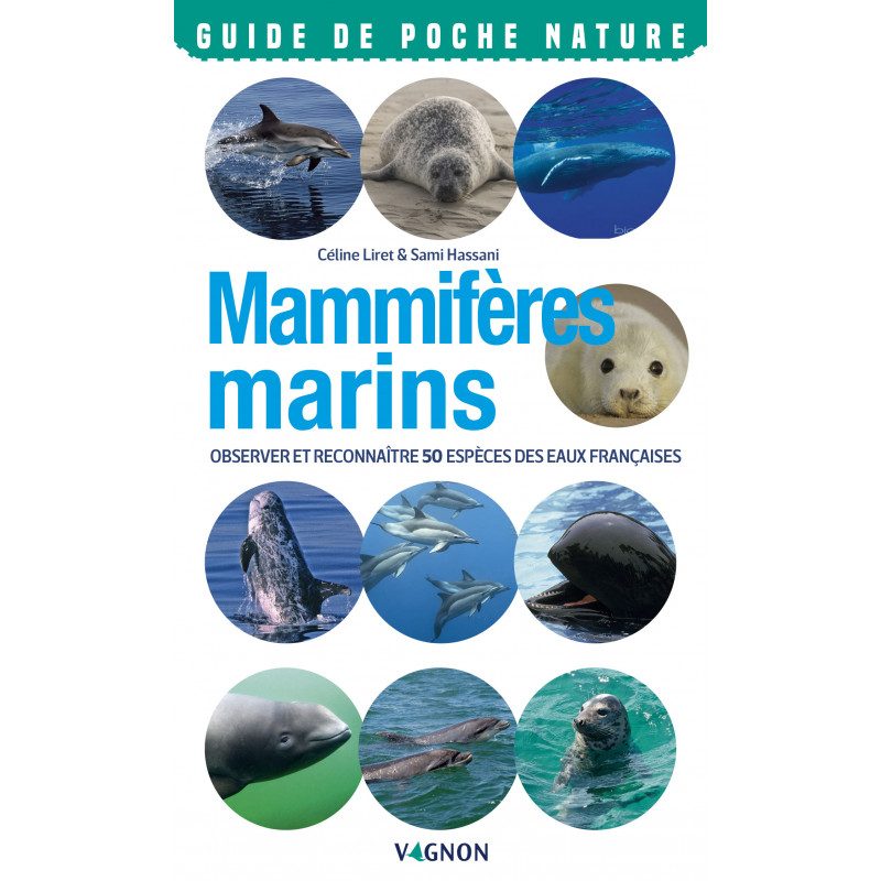 Guide Nature Mammifères marins de Vagnon | Picksea