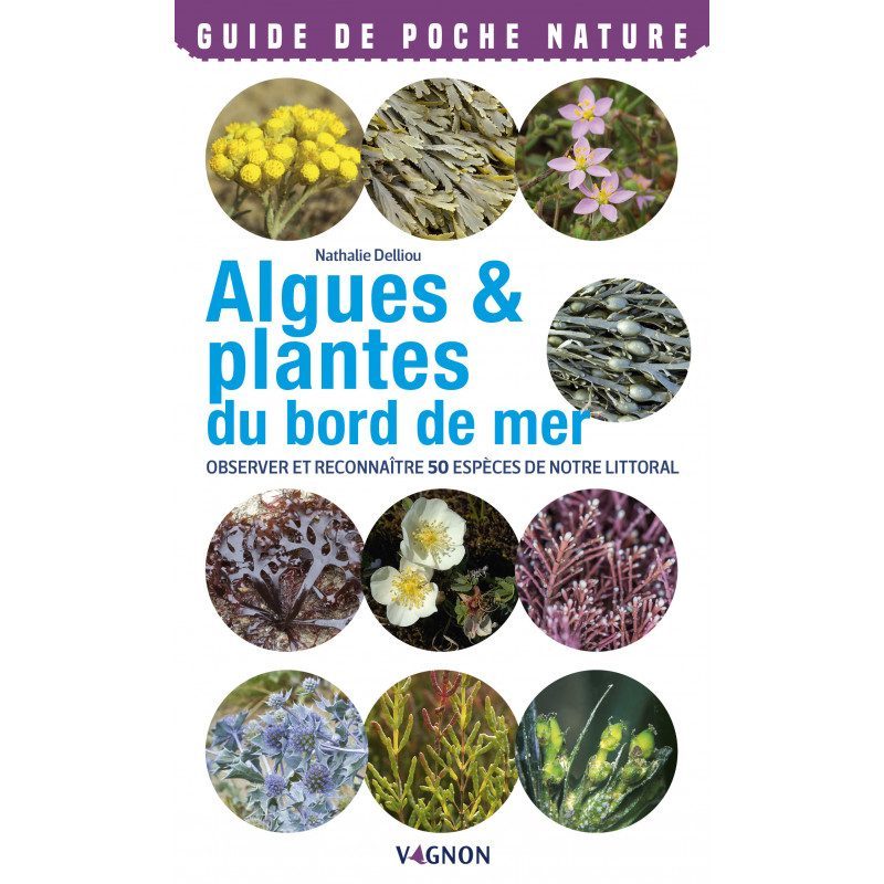 Guide Nature Algues et Plantes du Bord de Mer | Picksea