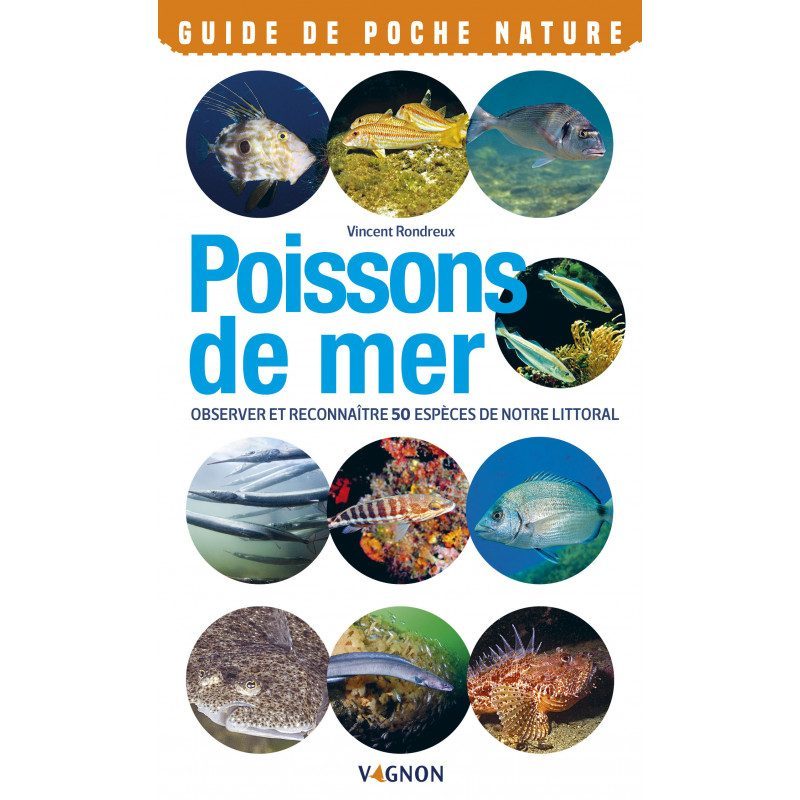 Guide Nature Poissons de Mer de Vagnon | Picksea