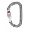 Mousqueton AM'D avec Screw lock de Petzl