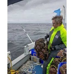 Vue 2 ciré léger doublé Stormtex Air 203