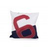 Two-coloured cushion 50x50cm | Picksea