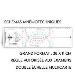 Polaris Tricolour Cras Ruler