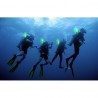 Plastimo 3 colour light sticks | Picksea