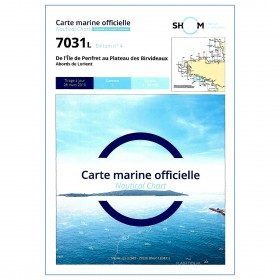 7031L Marine Chart : from...
