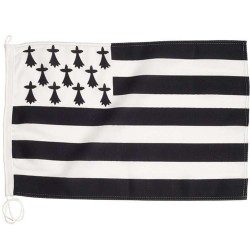 French regions flags