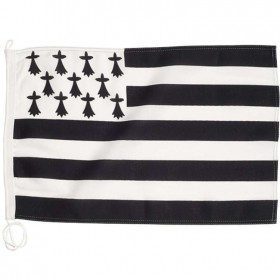 French regions flags