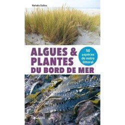 Algues et plantes du bord...