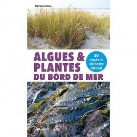 Algues et plantes du bord...