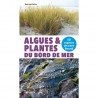 Algues et plantes du bord de mer