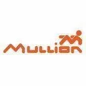 MULLION