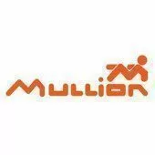 MULLION