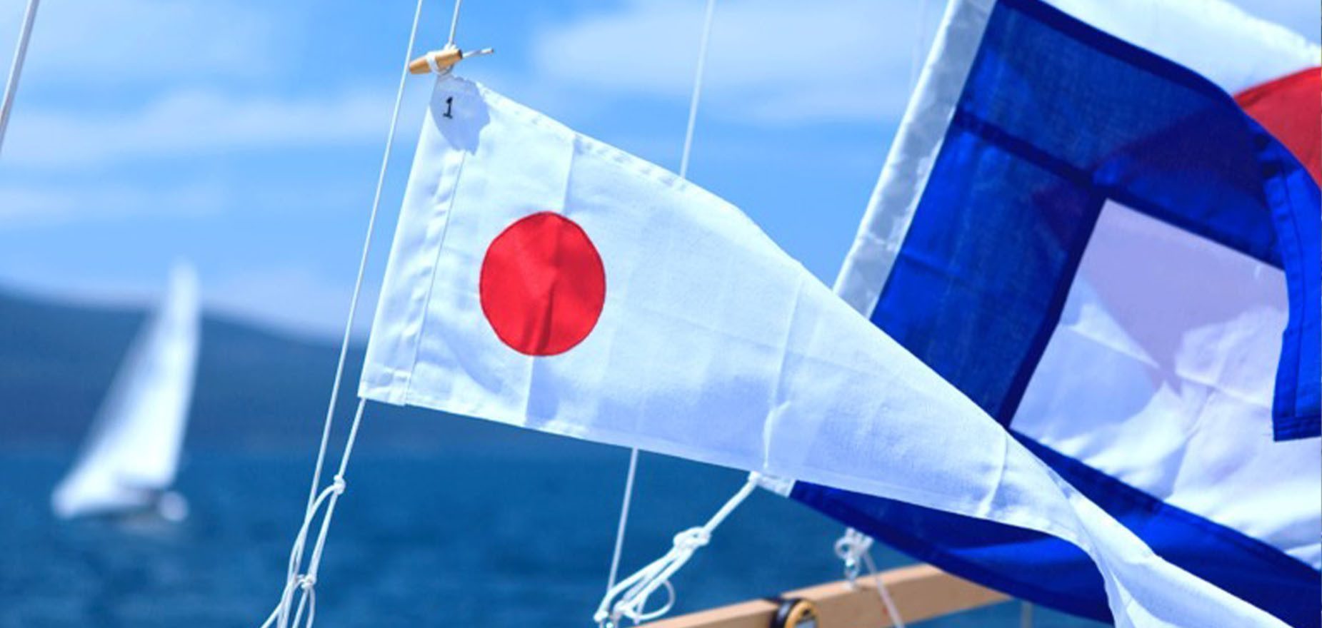 All about the maritime flags Picksea SAS